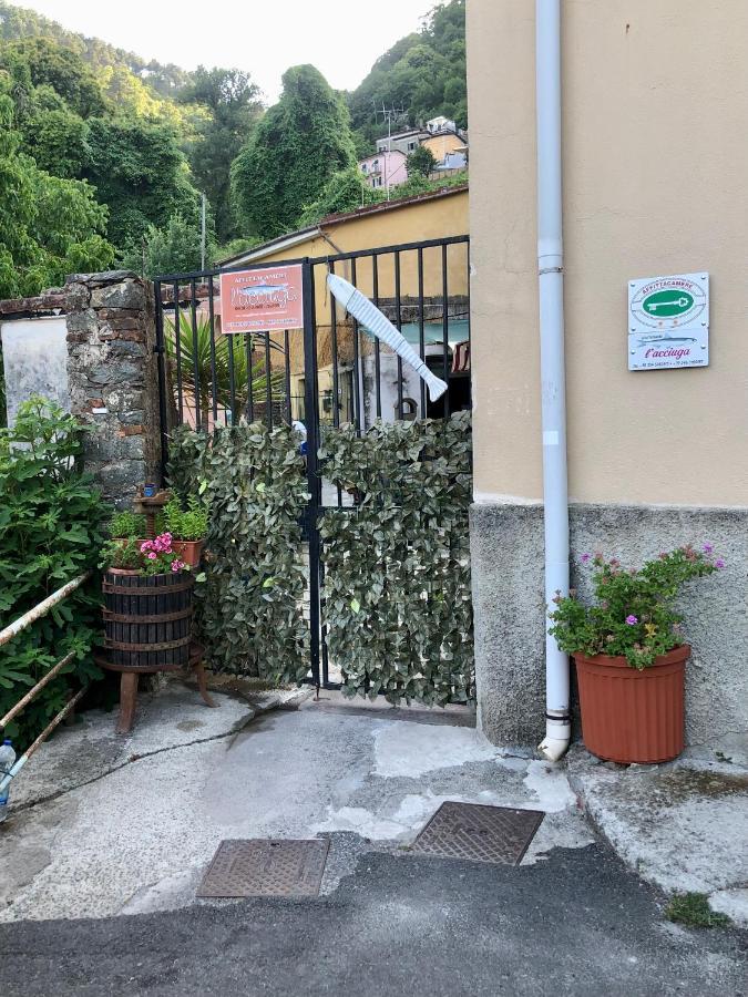 Affittacamere L'acciuga *