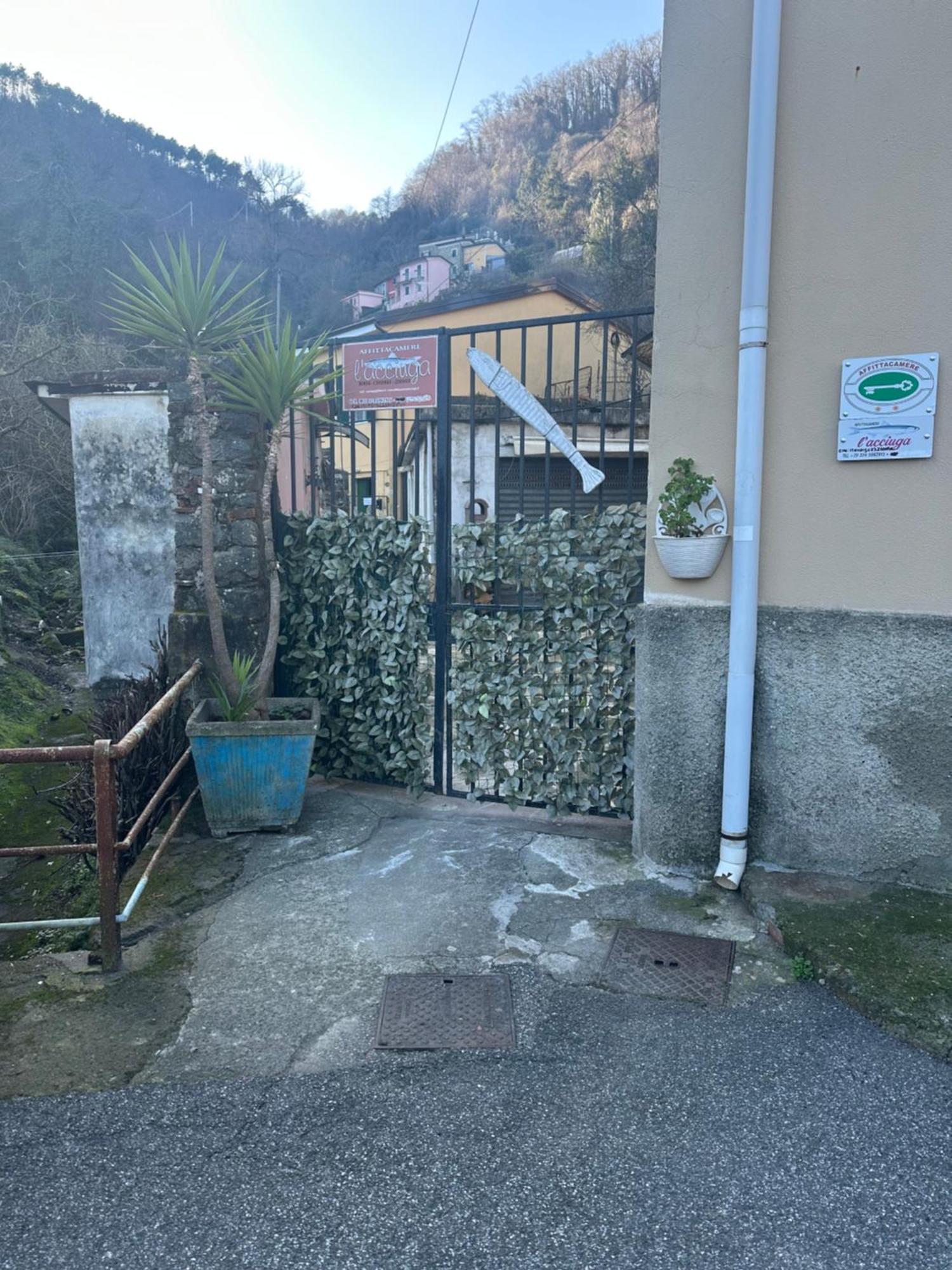 L'acciuga *