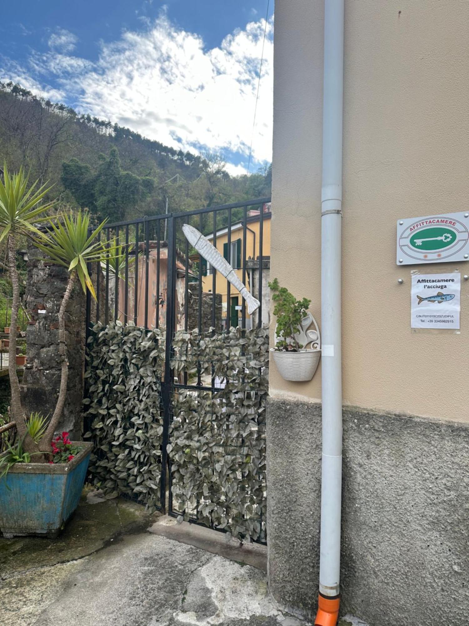 L'acciuga La Spezia