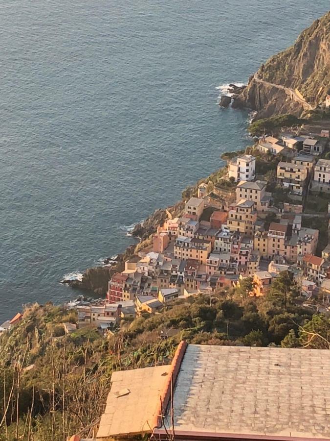 L'acciuga * La Spezia