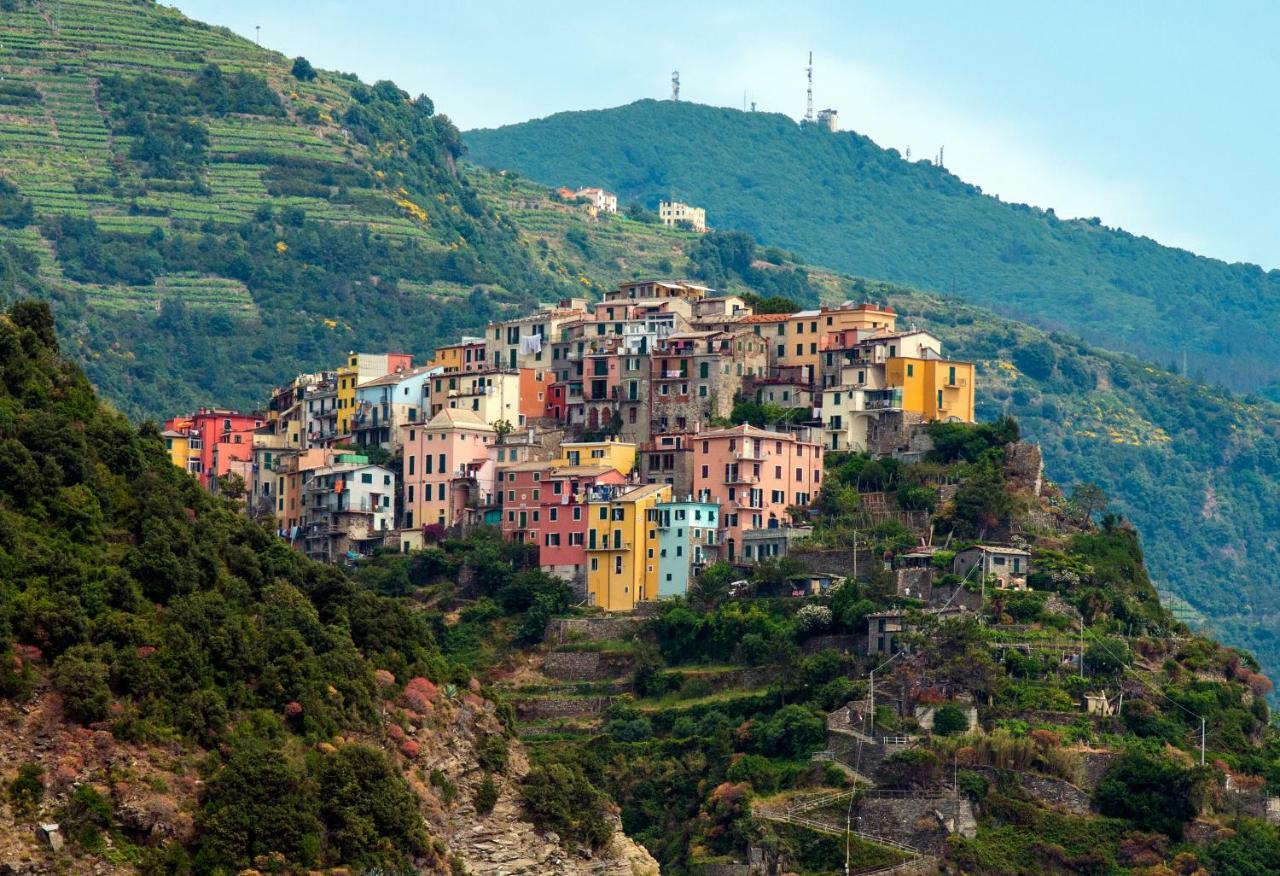 L'acciuga * La Spezia