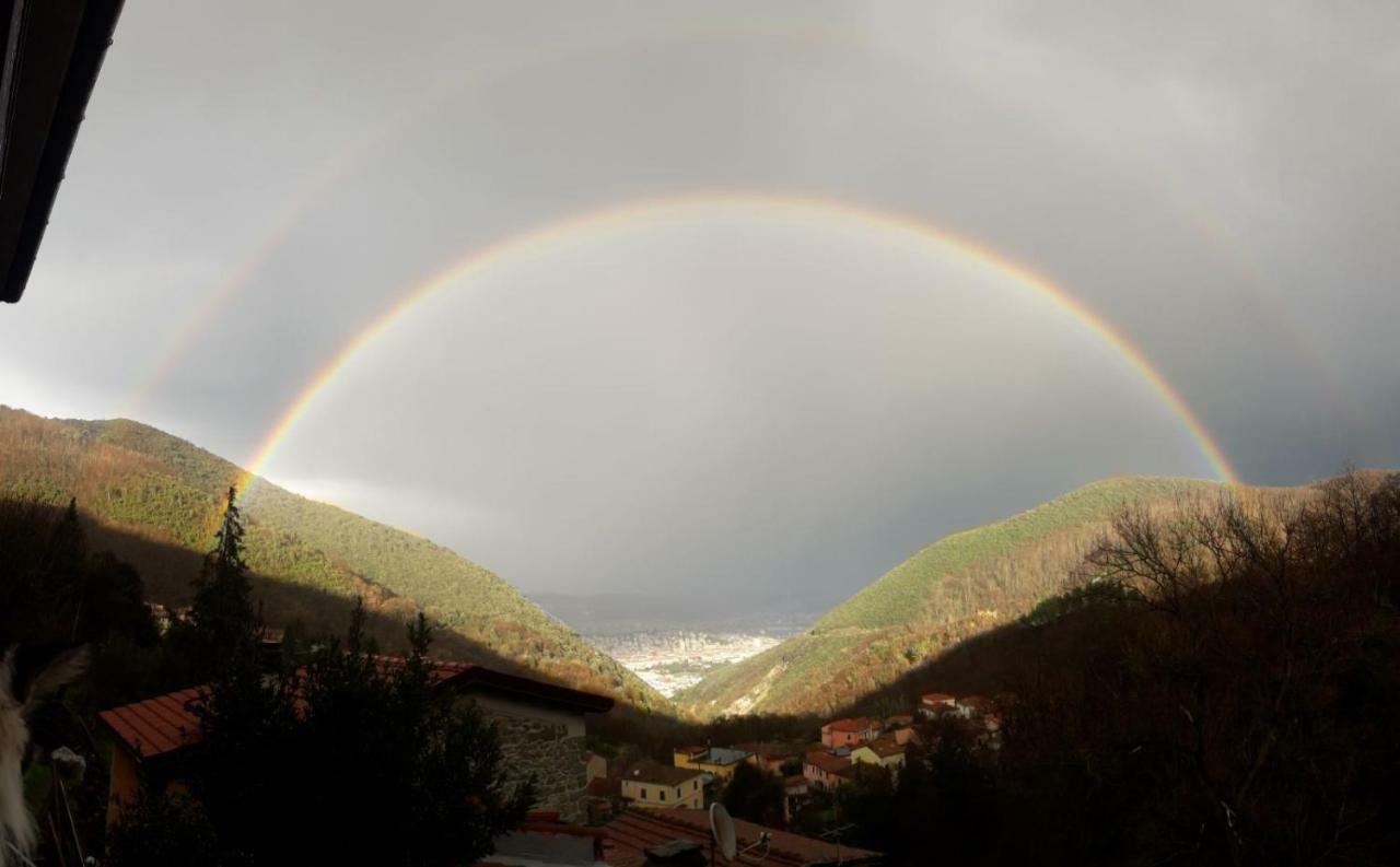 L'acciuga Affittacamere